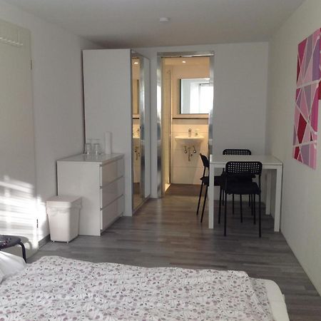 Stadtmitte Ferienwohnung Waldshut Екстер'єр фото